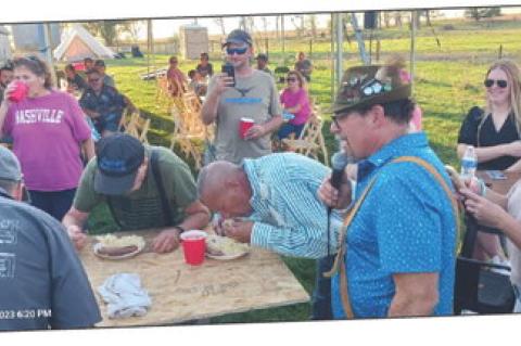 Article Image Alt Text