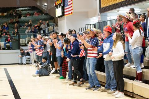 Article Image Alt Text