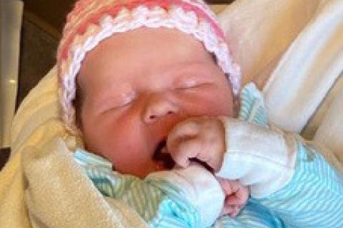 Article Image Alt Text