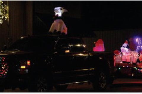 Article Image Alt Text