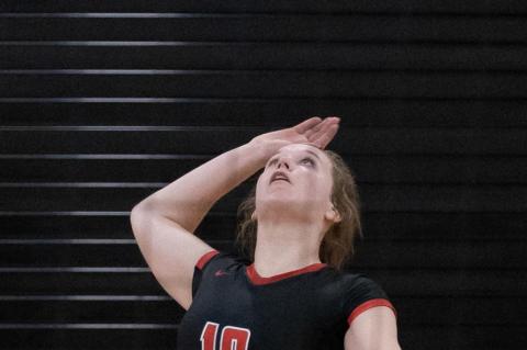 Article Image Alt Text