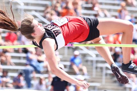 Article Image Alt Text