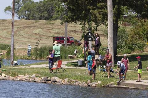 Article Image Alt Text