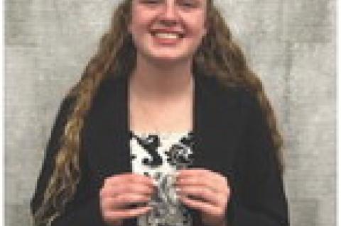 Article Image Alt Text