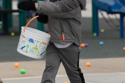 Article Image Alt Text