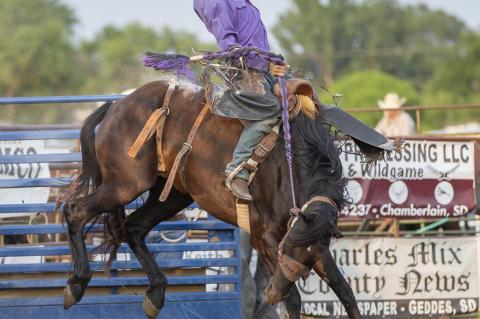 Article Image Alt Text