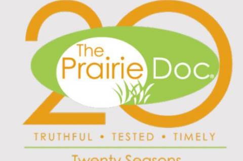 Article Image Alt Text