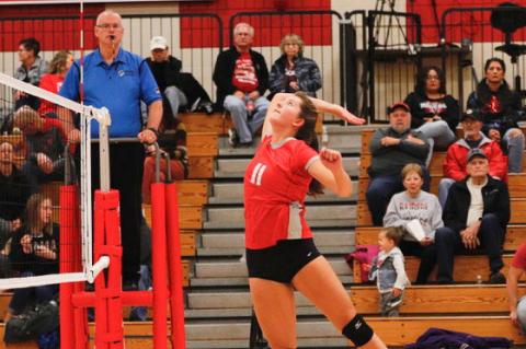 Article Image Alt Text