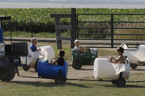 Article Image Alt Text