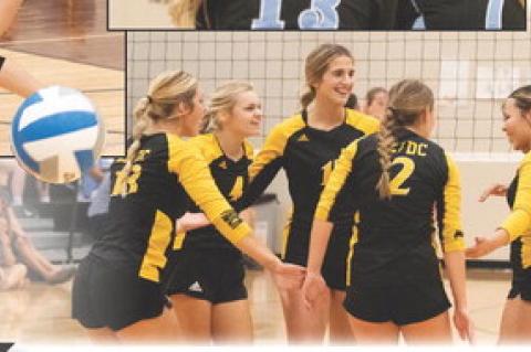 Article Image Alt Text