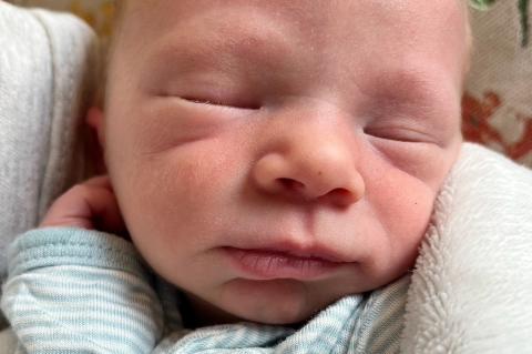 Article Image Alt Text