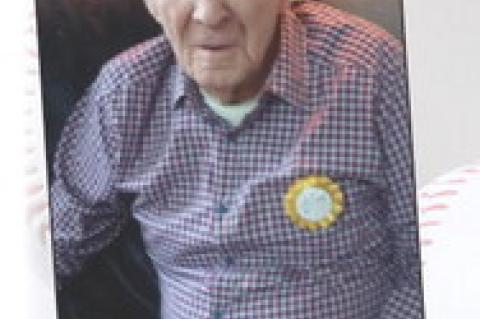 Article Image Alt Text