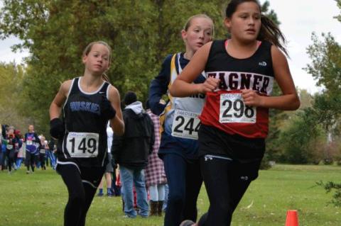 Article Image Alt Text