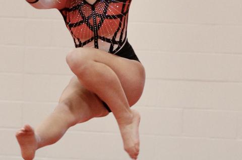 Article Image Alt Text