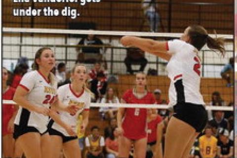 Article Image Alt Text