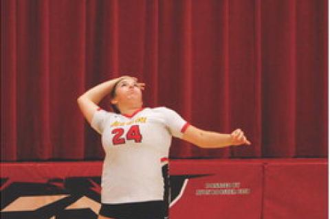 Article Image Alt Text