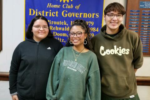 Article Image Alt Text