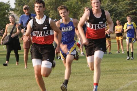 Article Image Alt Text