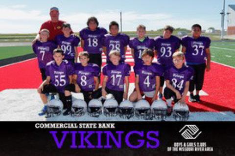 Article Image Alt Text