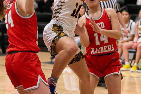 AC/DC LADY THUNDER RESULTS