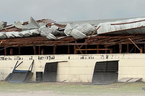 Article Image Alt Text