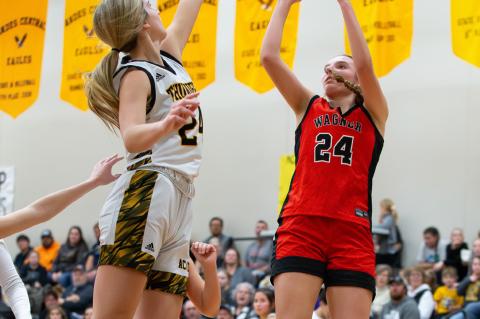 Article Image Alt Text