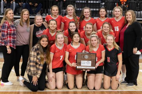 Article Image Alt Text