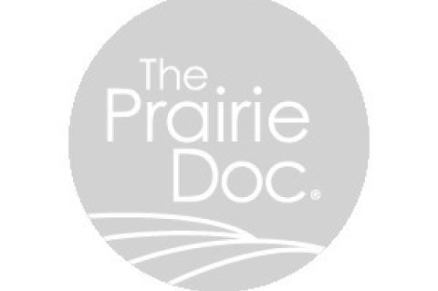 SOLE SURVIVORS: HOW TO GIVE YOUR FEET THE SUPPORT THEY NEED