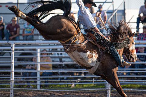 Article Image Alt Text