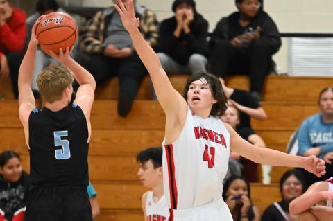 Article Image Alt Text