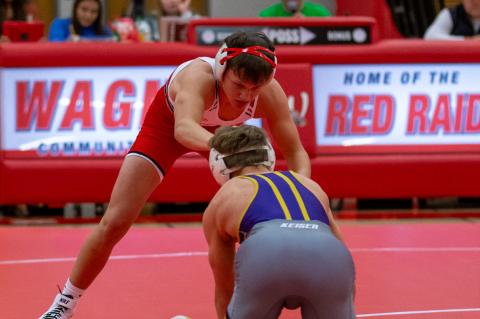 Article Image Alt Text