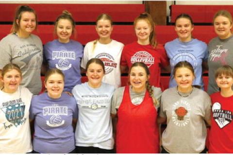 Article Image Alt Text