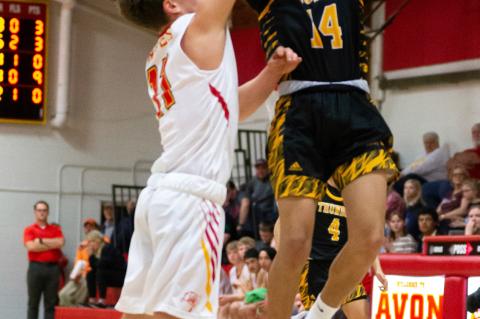 Article Image Alt Text