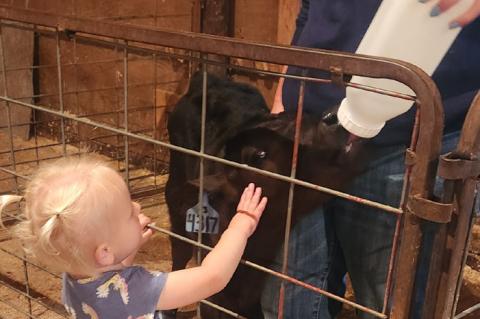 Article Image Alt Text