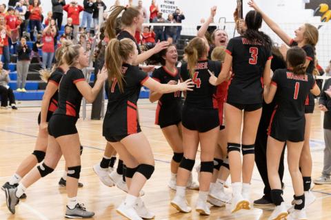 Article Image Alt Text