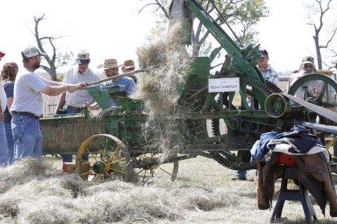 DELMONT HARVEST FESTIVAL HELD