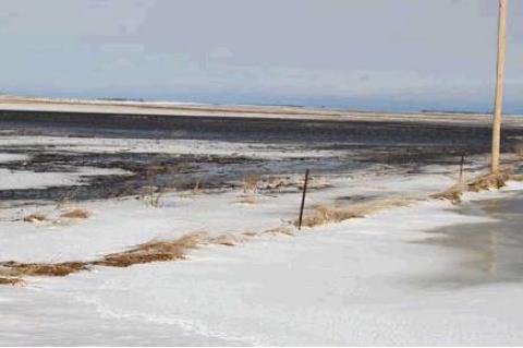 Article Image Alt Text