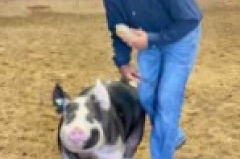 BON HOMME COUNTY 4-H ACHIEVEMENT DAYS