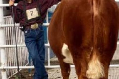 BON HOMME COUNTY 4-H ACHIEVEMENT DAYS