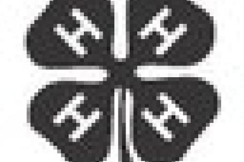 Sweet Clover 4-H Meeting Minutes