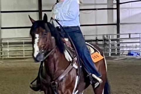 Article Image Alt Text