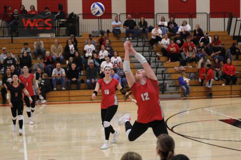 Article Image Alt Text