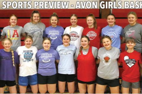 Article Image Alt Text