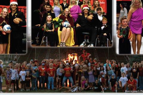 Article Image Alt Text