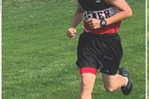 Article Image Alt Text