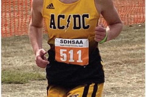 AC/DC SENIOR ANNA DEHAAN MEDALS AT STATE CROSS COUNTRY