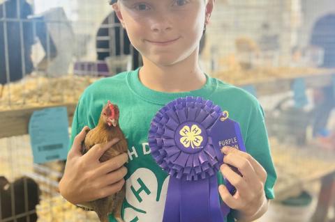 Article Image Alt Text