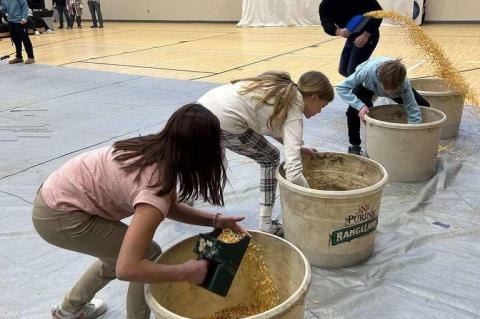 Article Image Alt Text