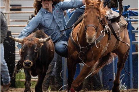 Article Image Alt Text