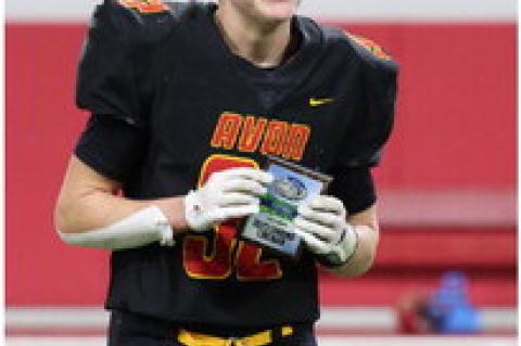 Article Image Alt Text